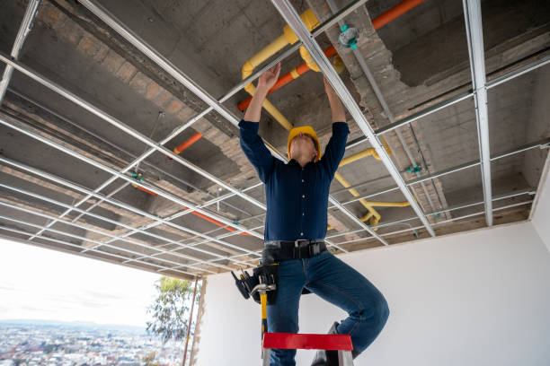 Best Plumbing Inspection Services  in Delphi, IN